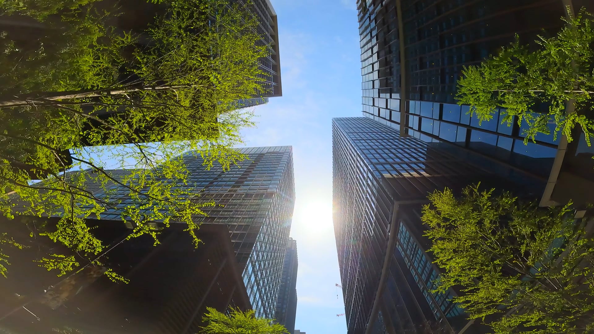 A view looking up at tall modern skyscrapers with reflective glass windows, set against a bright blue sky with the sun shining between the buildings. Green trees with fresh leaves frame the scene from below, adding a touch of nature to the urban setting.